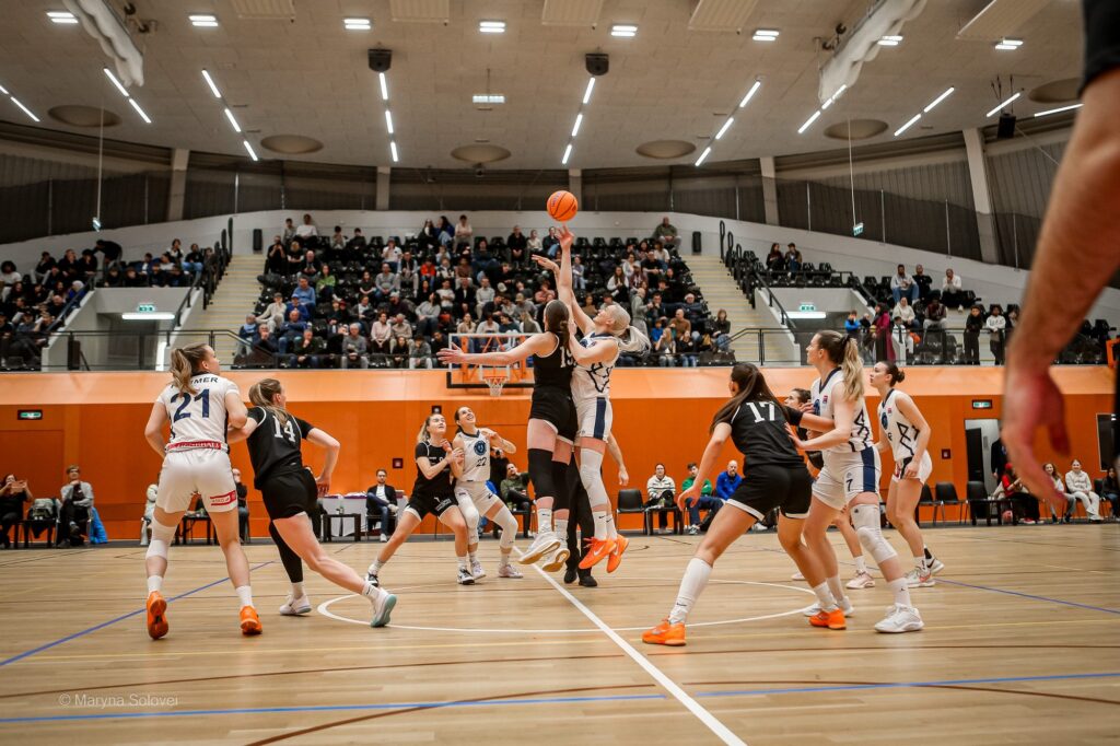 Sporthalle Steigenteschgasse
