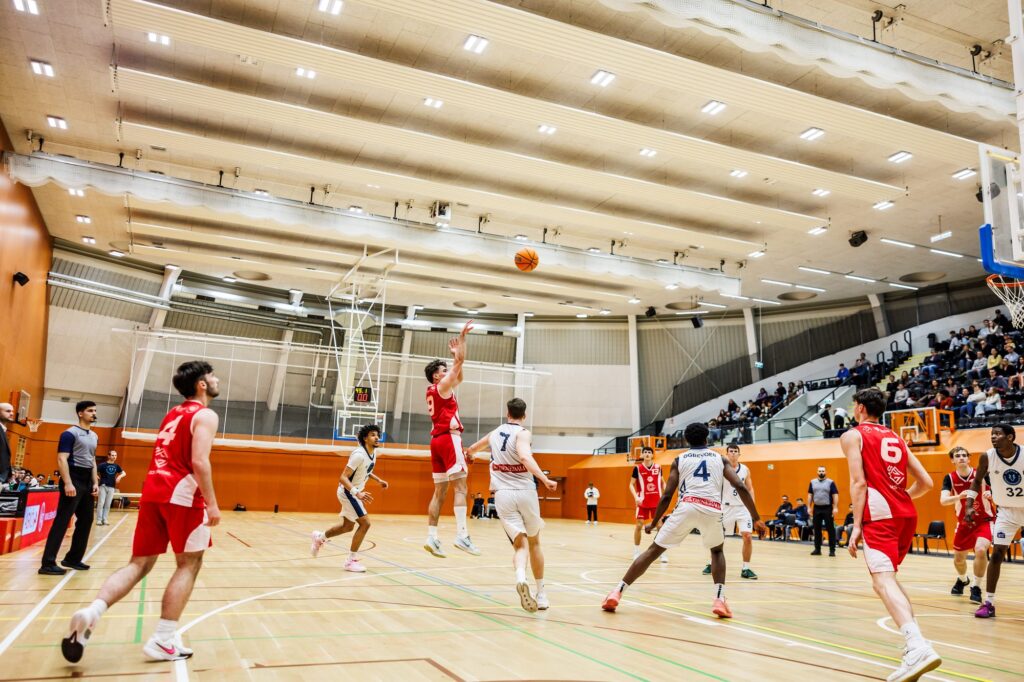 Wolves Dome